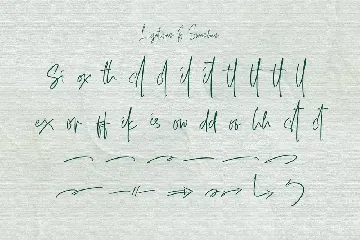 Hulya Script Handwritten Signature Font