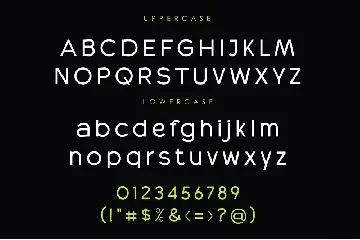 RADEON font