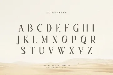 Hollywings - Modern Vintage Display Font