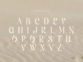 Hollywings - Modern Vintage Display Font