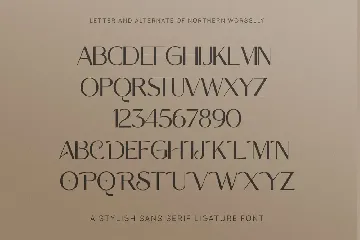 Northern Worssley - Ligature Sans font