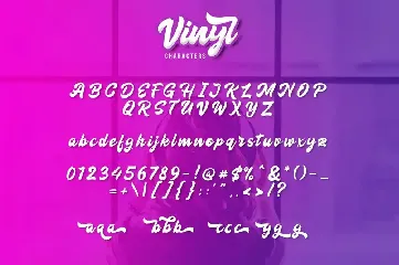 Vinyl Script font