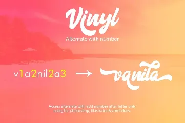 Vinyl Script font