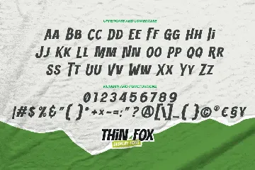 THIN FOX - Display Font