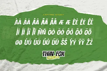 THIN FOX - Display Font