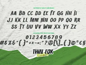 THIN FOX - Display Font