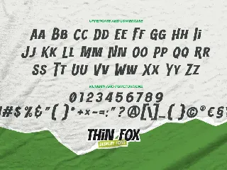 THIN FOX - Display Font