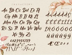 Monicha Script font