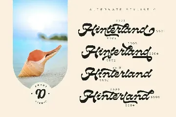 Hinterland / Reverse Contrast Script font