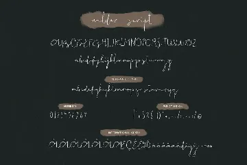 Wilder Font & Graphic