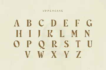 Rosebud - Display Vintage Font