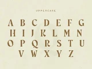 Rosebud - Display Vintage Font