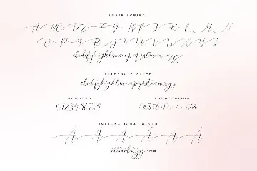 Rumie Script font