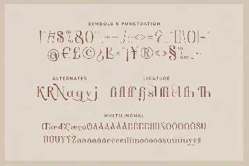 Aestetic â€“ Modern Serif Font