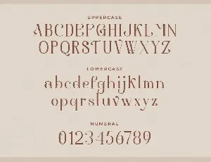 Aestetic â€“ Modern Serif Font