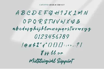 Catchme | Monoscript Font