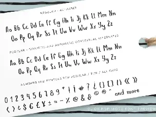 Hola Bisou - Handlettered ink font