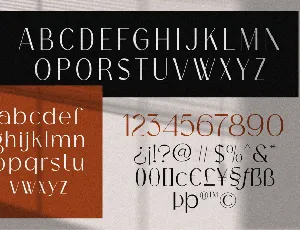 Bagina Serif font