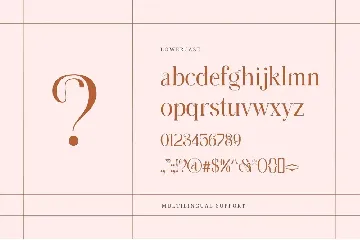 Quorga - Aesthetic Serif font