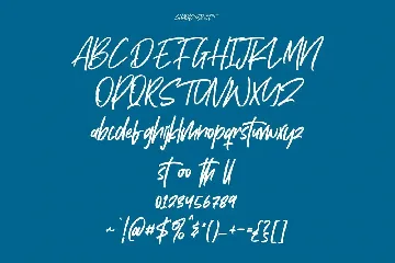 Hostrack Handwritten Font