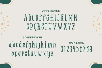 Savilla â€“ Playful Serif Font