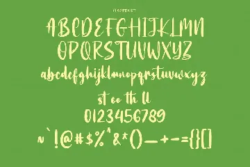 Bottairs Script Font