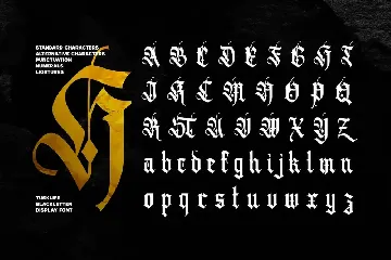 Tusklife font