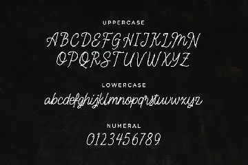 Sensai â€“ Vintage Monoline Script font