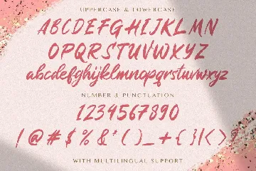 Rugani Payne - Textured Brush Font