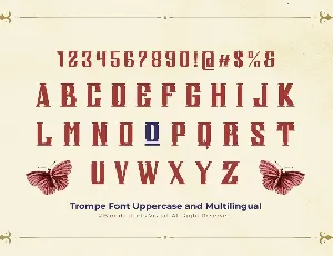 Trompe - Serif Vintage Displat Font