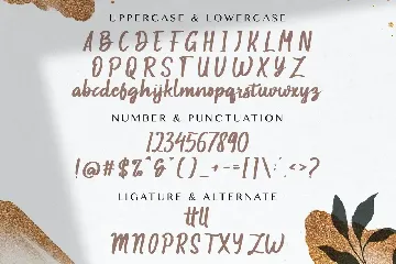 Baqillugs - Brush Script Font