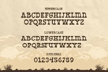 West Yard â€“ Western Display Font