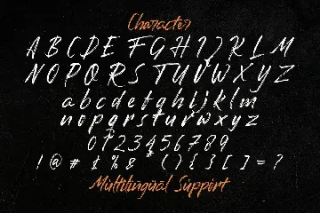 Romantika Hidup - Dry Brush Script Font