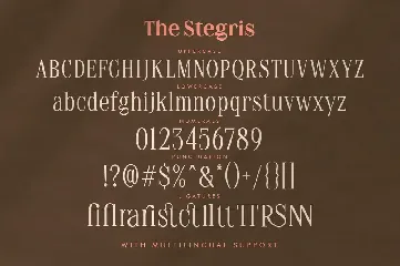 The Stegris Serif Family - 5 Weights font