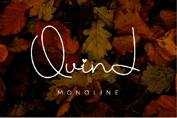 Quind Monoline Signature font