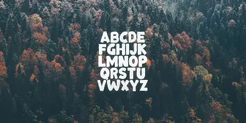 Bonfire Typeface font