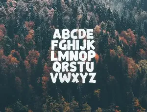 Bonfire Typeface font