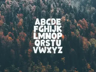 Bonfire Typeface font