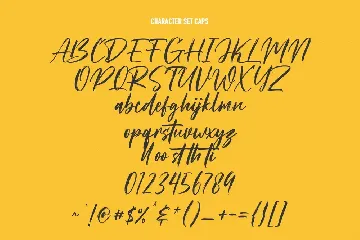 Freak Funky Brush Script Font