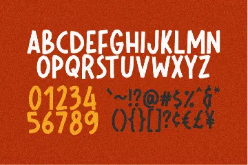 Bigbird Playful Display Font