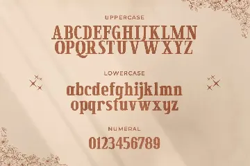 Secret Mansion â€“ Modern Elegant Serif font