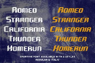 Sportive - Modern Display Font