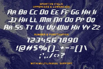 Sportive - Modern Display Font