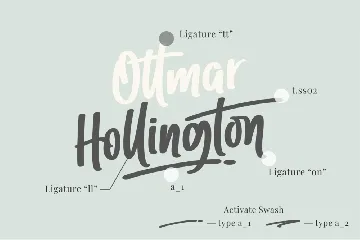 Ottmar Hallington - A Script Font