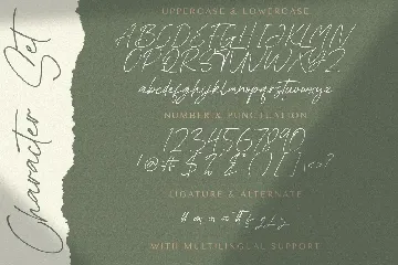 Asthacy Reny - Handwritten Font