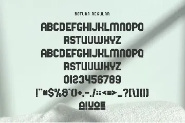 Botuna - Modern Sans Serif Font