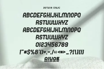 Botuna - Modern Sans Serif Font