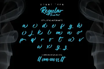 Regular Brush-Elegant Brush Font