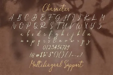 Dulan Anzelica - Signature Script Font