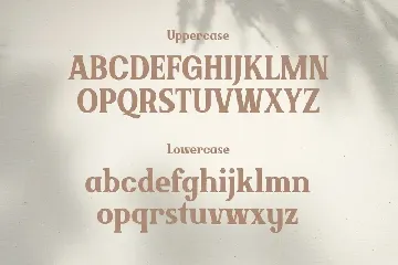 Brickson - Elegant Modern Serif font